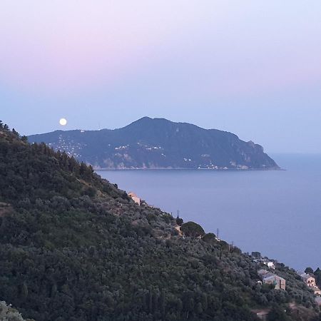 Casa Bubo Daire Bogliasco Dış mekan fotoğraf