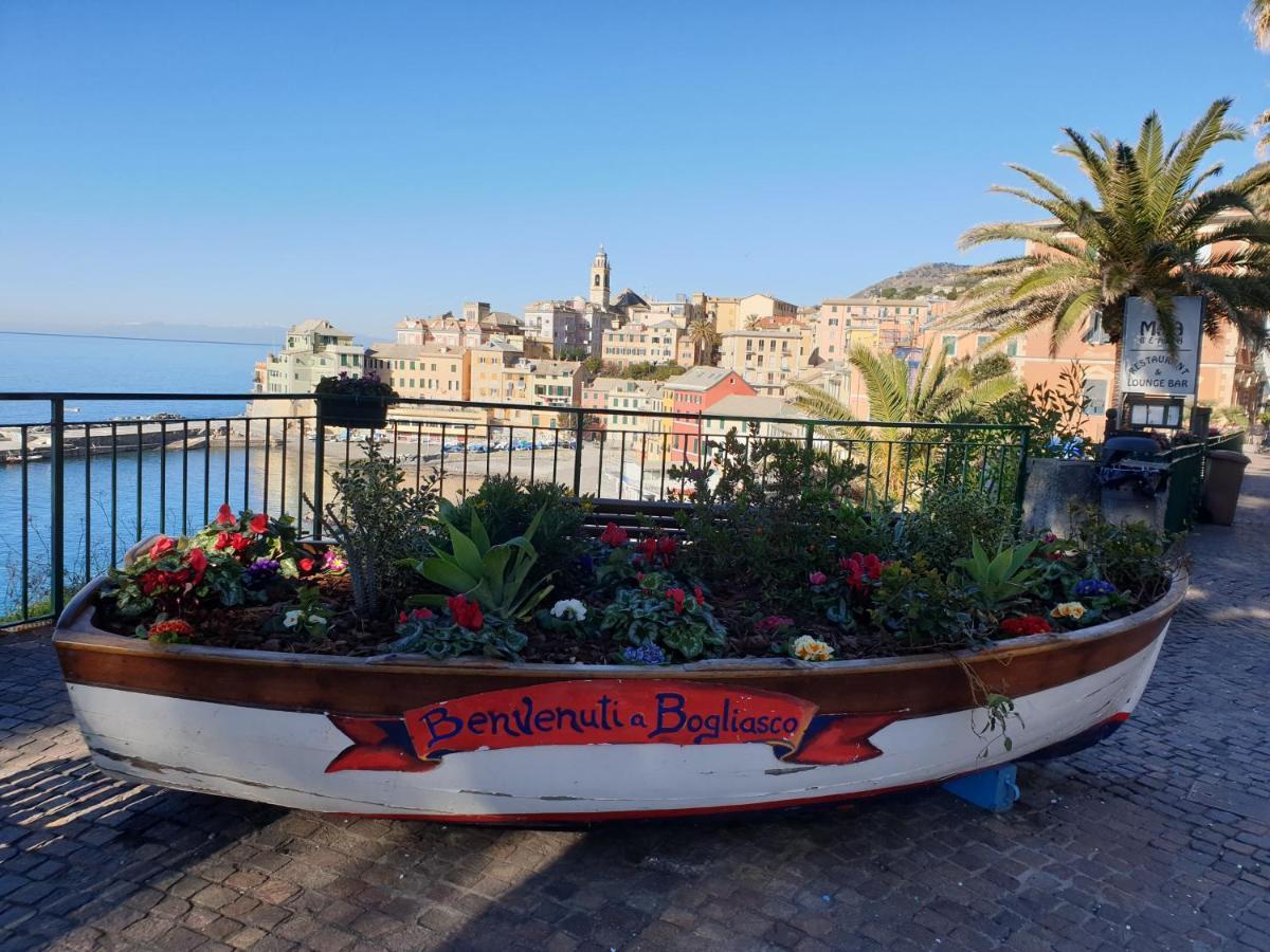 Casa Bubo Daire Bogliasco Dış mekan fotoğraf