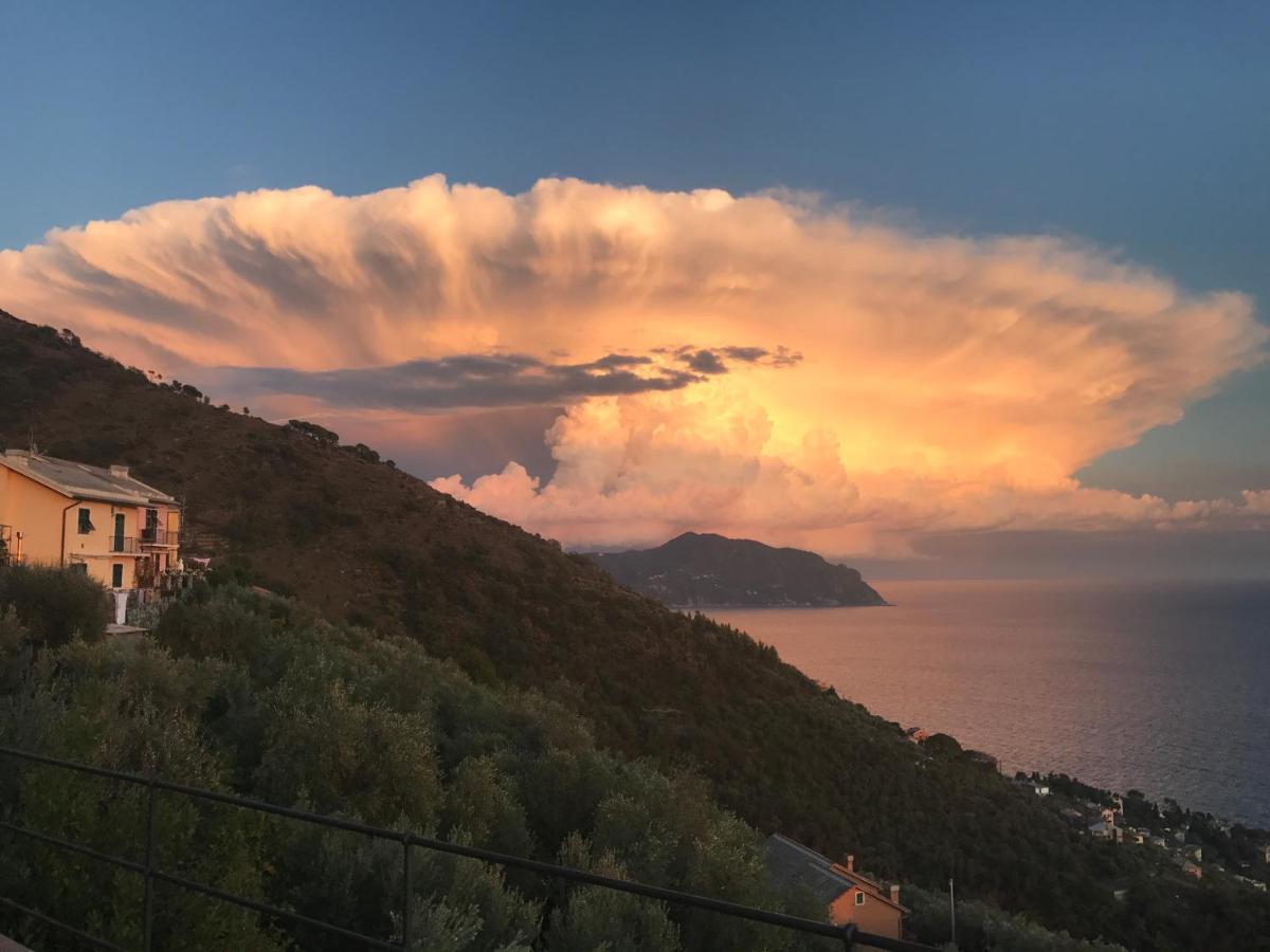 Casa Bubo Daire Bogliasco Dış mekan fotoğraf