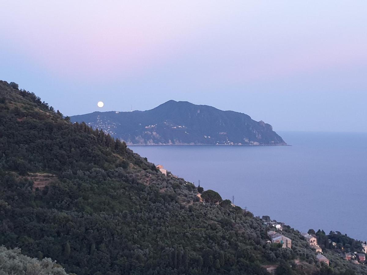 Casa Bubo Daire Bogliasco Dış mekan fotoğraf