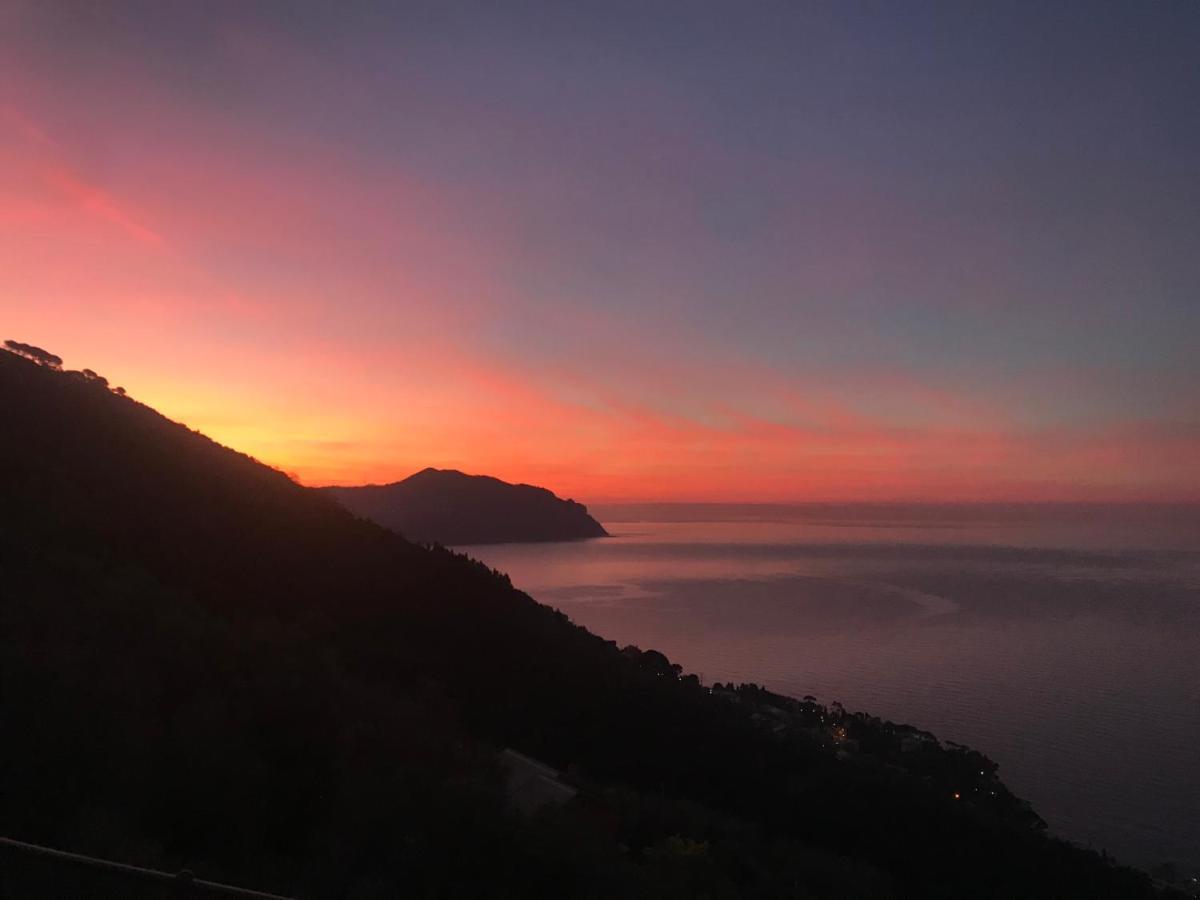 Casa Bubo Daire Bogliasco Dış mekan fotoğraf