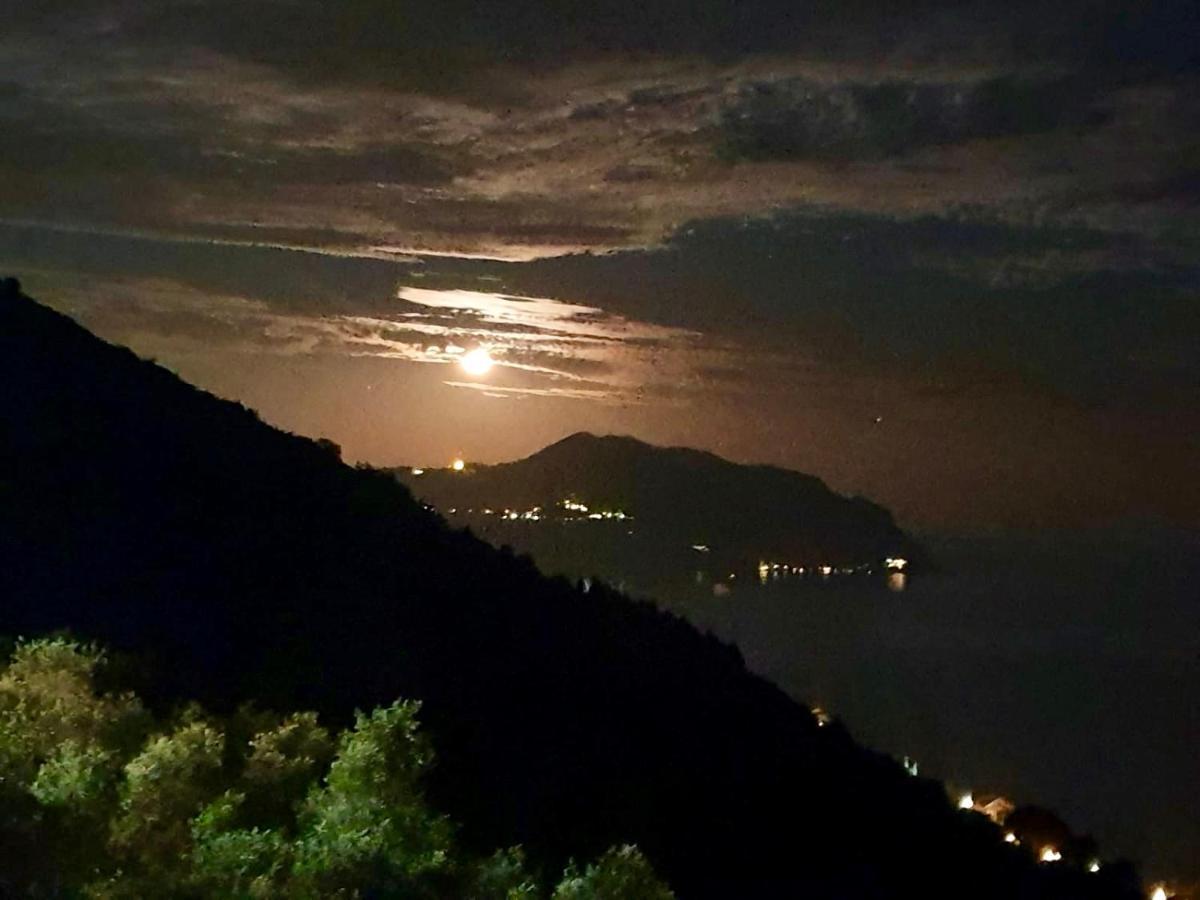 Casa Bubo Daire Bogliasco Dış mekan fotoğraf