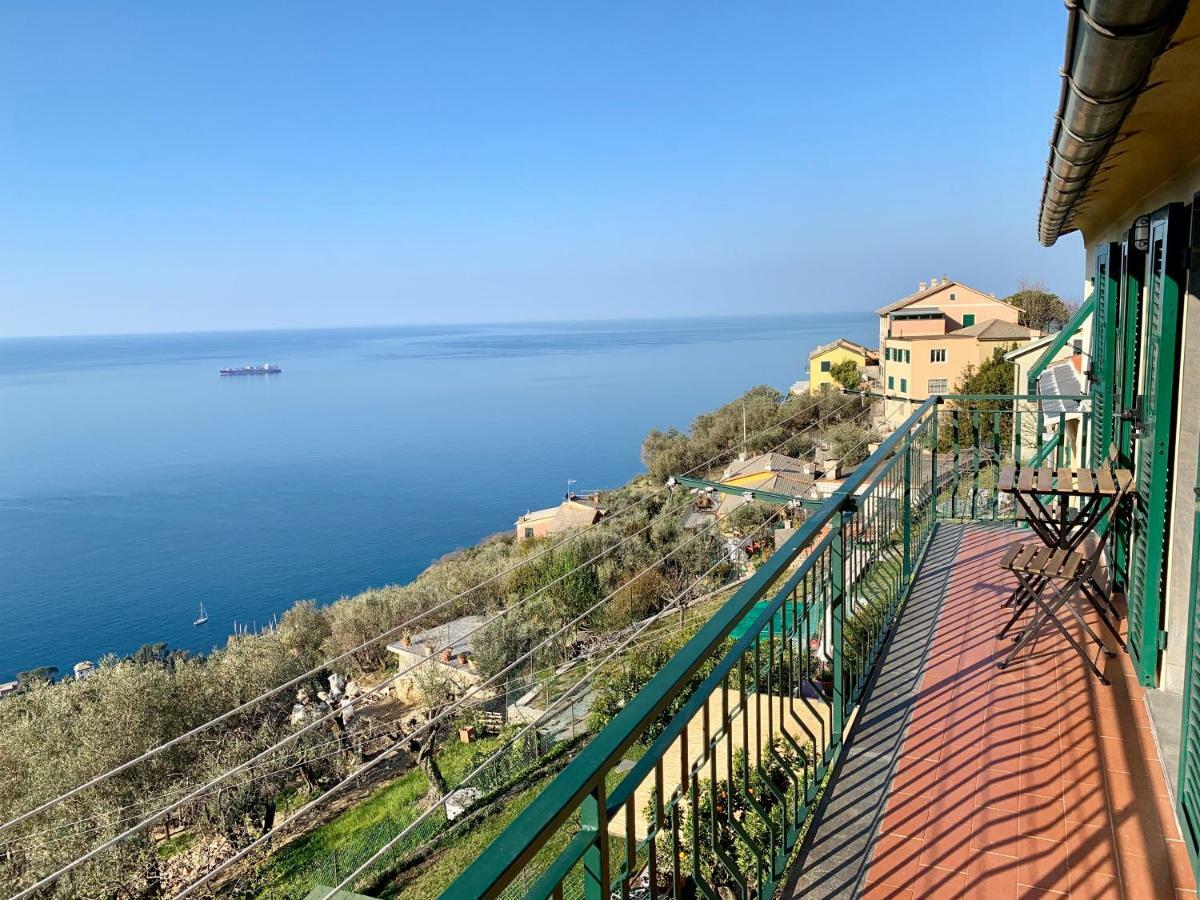 Casa Bubo Daire Bogliasco Dış mekan fotoğraf