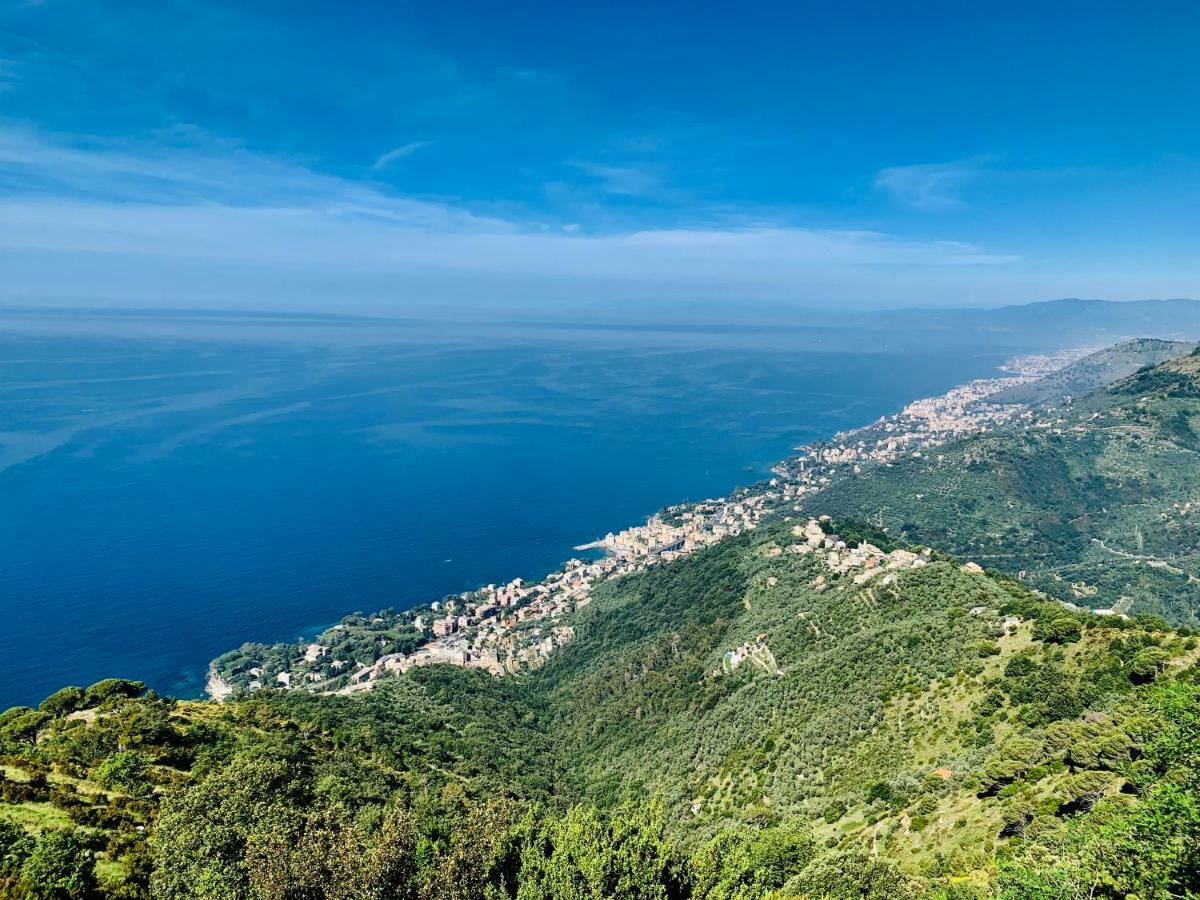 Casa Bubo Daire Bogliasco Dış mekan fotoğraf